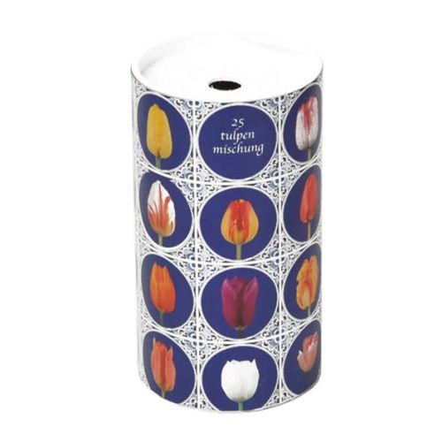 Grand tube de bulbes de fleurs - image 5